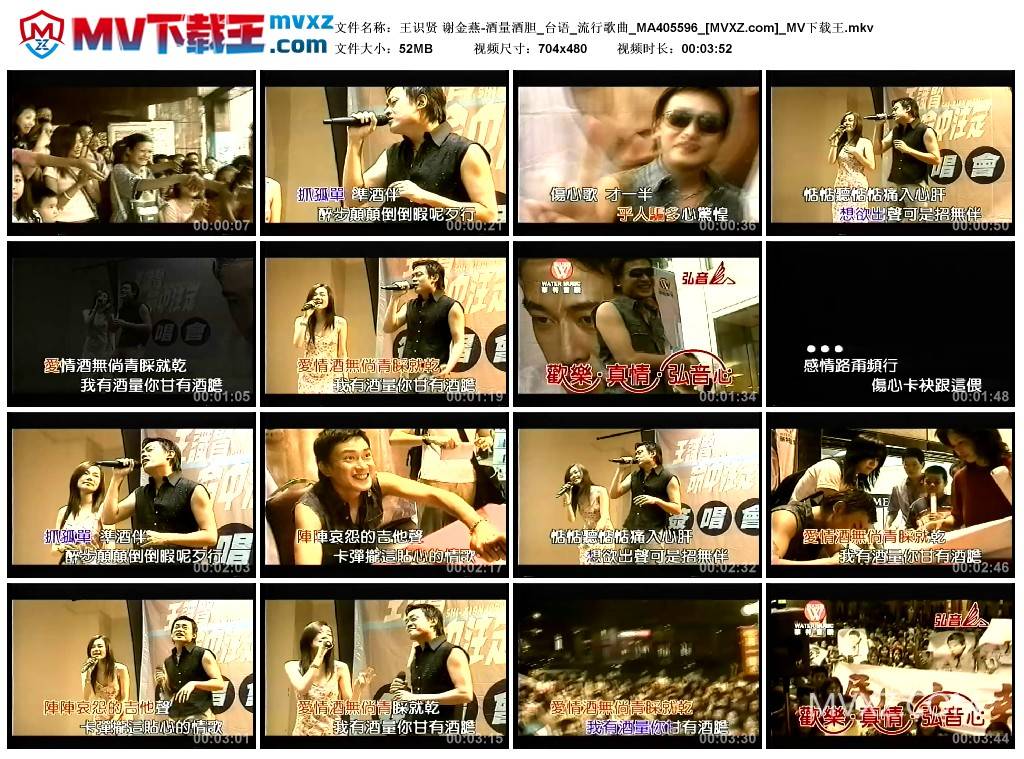 王识贤 谢金燕-酒量酒胆_台语_流行歌曲_MA405596